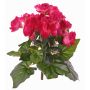 Artificial begonia 'BIRMA' on a stem, fuchsia, 8"/20cm, Ø1.2"-2"/3-5cm