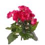 Artificial begonia ‘BIRMA’ on a stem, pink, 20 cm, Ø 3–5 cm