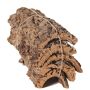 Natural cork bark pieces DIANTHA, 5 pieces, brown, 50x25cm