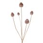 Artificial poppy capsule FILOMELA, light brown, 75cm, Ø2–3.5cm