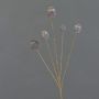 Artificial poppy capsule FILOMELA, dark brown, 75 cm, Ø 2–3.5 cm