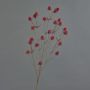 Plastic noble thistle LOUKAS, red, 70cm, Ø1–1.5cm
