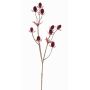 Plastic noble thistle LOUKAS, burgundy red, 18"/45cm, Ø0.4"-0.6"/1-1.5cm