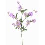 Plastic morning glory 'IORDANIS', purple-green, 31"/80cm, Ø1.2"-2.2"/3-5.5cm