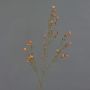 Artificial wax flower NIANG, orange-red, 80cm, Ø1.5–2.5cm