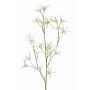 Decorative flower branch Tweedia solanoides PALLAS, white, 70cm, Ø5cm