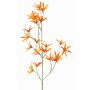 Decorative flower branch Tweedia solanoides PALLAS, orange, 28"/70cm, Ø2"/5cm