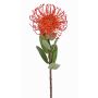 Artificial pincushion Protea BAILY, orange, 55cm, Ø10cm