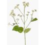 Artificial Eupatorium branch KORALIA, cream, 31"/80cm, Ø1.6"-2.8"/4-7cm