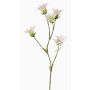 Artificial Japanese carnation KASTALIA, cream, 65 cm, Ø 4–5 cm