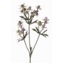 KALYPSO ornamental thistle branch, purple, 65cm, Ø3–4cm