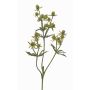 Decorative KALYPSO thistle branch, green, 65 cm, Ø 3–4 cm