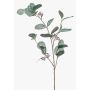 Decorative eucalyptus branch MAXEN with berries, green-grey, 75cm