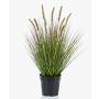 Artificial plant: feather grass YWAIN with panicles, beige-green, 60cm
