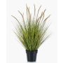 Artificial grass: YWAIN feather-bristle grass with panicles, beige-green, 85cm