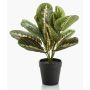 Artificial arrowroot plant SITULA, green-red, 30cm
