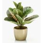 Artificial arrowroot plant SITULA in a gold ceramic pot, green-red, 30cm