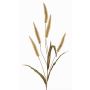 Artificial grass, HIWA lamp-cleaner grass, panicles, green, 4ft/135cm