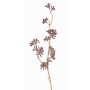 Artificial eucalyptus branch SOHA with berries, brown, 24"/60cm
