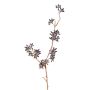 Artificial eucalyptus branch SOHA with fruit, dark brown, 60 cm