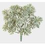 Artificial Crossostephium ALGOL, on a stick, crossdoor, grey-green, 20cm