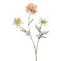 Artificial scabiosa branch MARUA, peach, 80cm