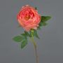 BARBRO artificial peony, coral, 65cm, Ø11cm