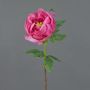 BARBRO artificial peony, hot pink, 65cm, Ø11cm