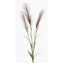 Artificial Pampas Grass Branch ADNANE with Plumes, brown, 90cm
