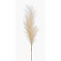 Artificial plant: Pampas grass panicle, AMATSIA, cream, 115 cm