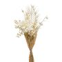 AYMA artificial peony bouquet with balloon spurge, cream, 60 cm