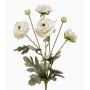 HIBBA decorative ranunculus branch, cream, 65 cm, Ø 5–7 cm