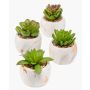 Artificial succulents LOYE in marble pot, 4 pieces, green, 13–15 cm