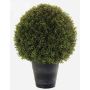 Faux boxwood TOM in a planter, crossdoor, 27"/68cm, Ø20"/50cm