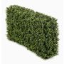 Faux boxwood hedge TOM, metal frame, crossdoor, 3ftx8"x20"/100x20x50cm