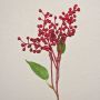 TEITH decorative elderberry branch with berries, red, 40cm