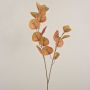 Artificial eucalyptus branch SOPONG, brown, 80 cm