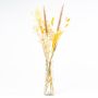 Decorative dried flowers with LOTTCHEN bottle, brown, 77cm, Ø15cm