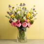 Fabulous Ranunculus