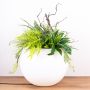 Customised plant arrangement - customer request from Jörg