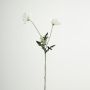 Plastic poppy branch GUNDULA, Eco Collection, white-purple, 28"/70cm, Ø2.8"-3.1"/7-8cm