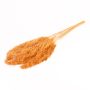 Dried bunch of reeds DONJETA, terracotta, 28"-31"/70-80cm, Ø6"/15cm