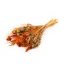 Dried bunch of ears COVENTINA, orange-natural, 26"/65cm, Ø9"/23cm
