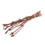 Grapevine branches RAGGA in a bunch, 10 pieces, natural, 24"/60cm