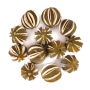 Decorative dried fruit oranges SIEGLINDE, incised, green, Ø2"-2.4"/5-6cm, 250g