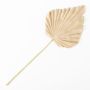 Plastic Washingtonia palm fronds RUNING, beige-yellow, 60cm