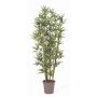 Artificial Bamboo KUSJA, natural bamboo canes, crossdoor, 10ft/300cm - Made in Italy
