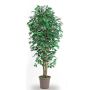 Artificial Ficus Benjamina LEONORET, real stems, green-white, 6ft/175cm - Made in Italy