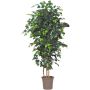 Artificial Ficus Benjamina LEONORET, real stems, green, 4ft/125cm - Made in Italy