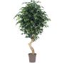 Synthetic Ficus Benjamina SILENO, real stem, green, 6ft/175cm - Made in Italy